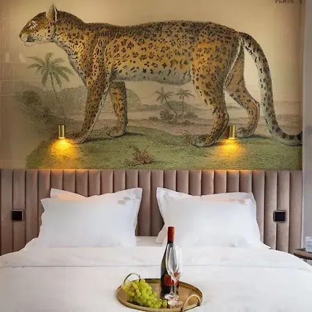 Fragola Wawel View Zwierzyniecka * Krakkó